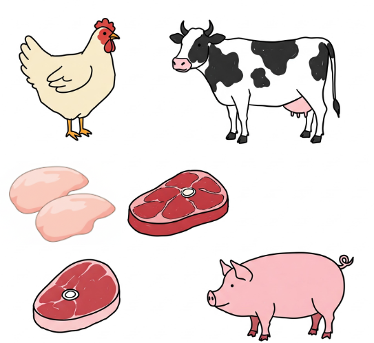 carne de frango proteínas: carne de frango, carne de vaca e carne de porco com os respectivos animais