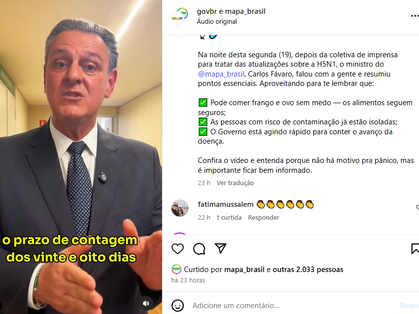 28 dias para status de "livre de gripe aviária" pode se iniciar nessa quarta feira - 21/05/2025